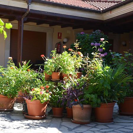 Hotel Arenas De Cabrales- Apartamentos Екстер'єр фото