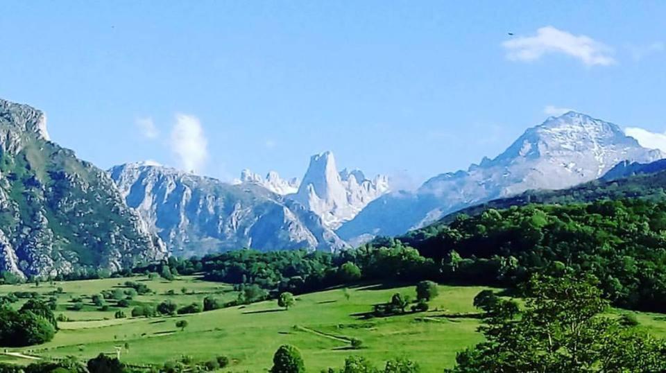 Hotel Arenas De Cabrales- Apartamentos Екстер'єр фото
