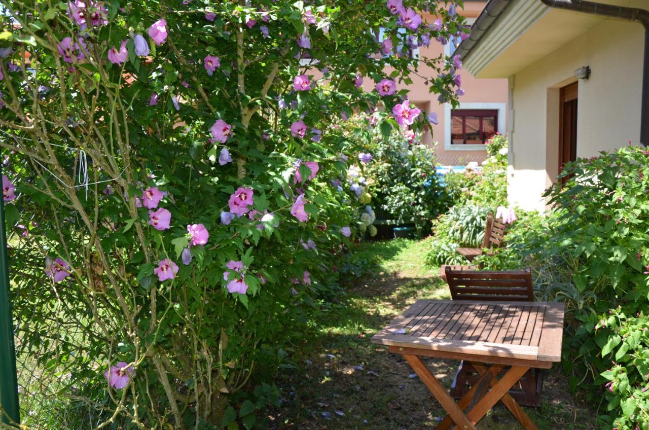 Hotel Arenas De Cabrales- Apartamentos Екстер'єр фото