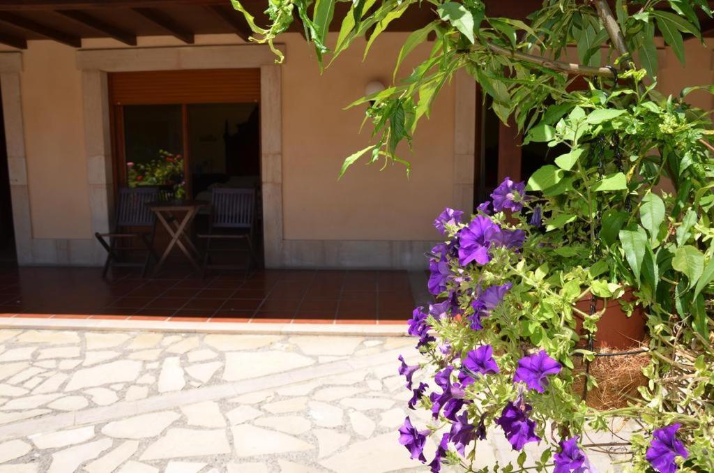 Hotel Arenas De Cabrales- Apartamentos Екстер'єр фото