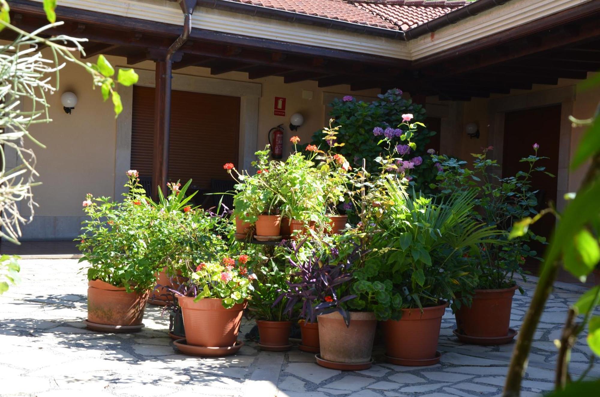 Hotel Arenas De Cabrales- Apartamentos Екстер'єр фото